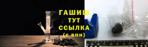 амф Тайга