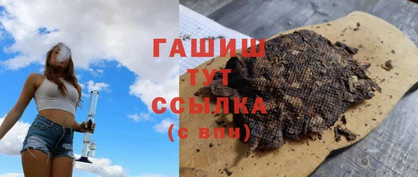 амф Тайга